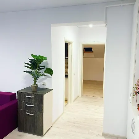 Mike's Apartment *